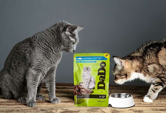 Zwei Katzen und eine Schale stehen um eine grüne Katzenfutterverpackung.